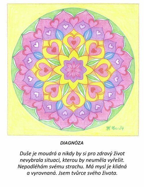 Diagnóza-kartičky 10x13