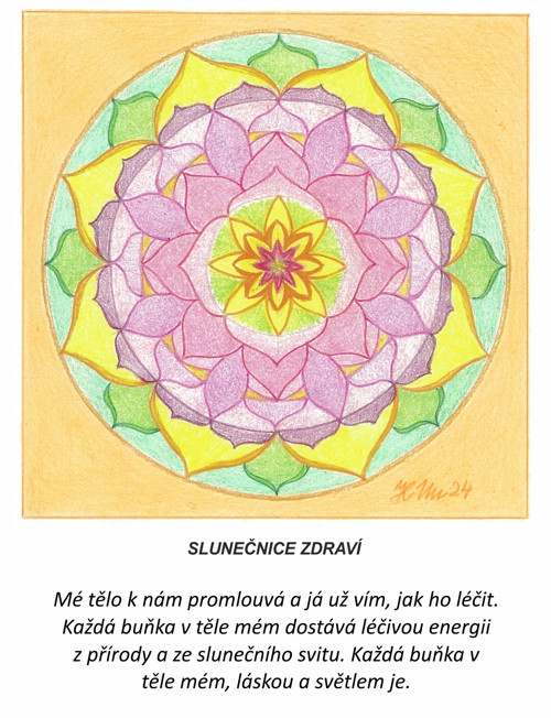 Slunečnice zdraví-kartičky 10x13