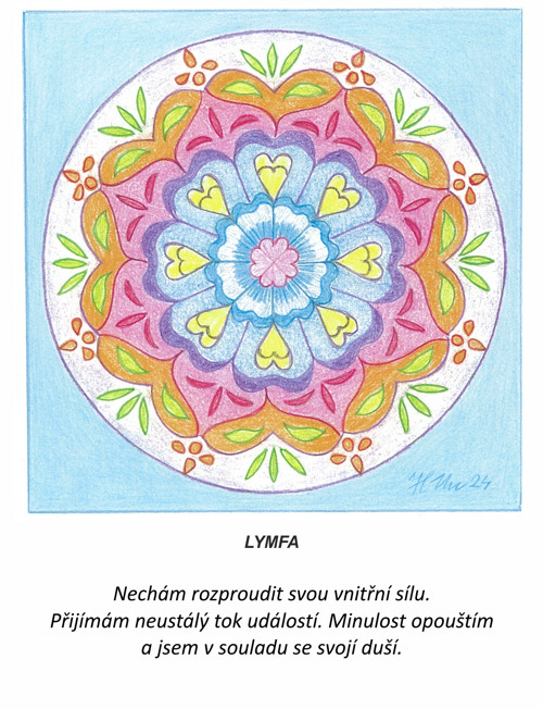 Lymfa-kartičky 10x13 — foto 1