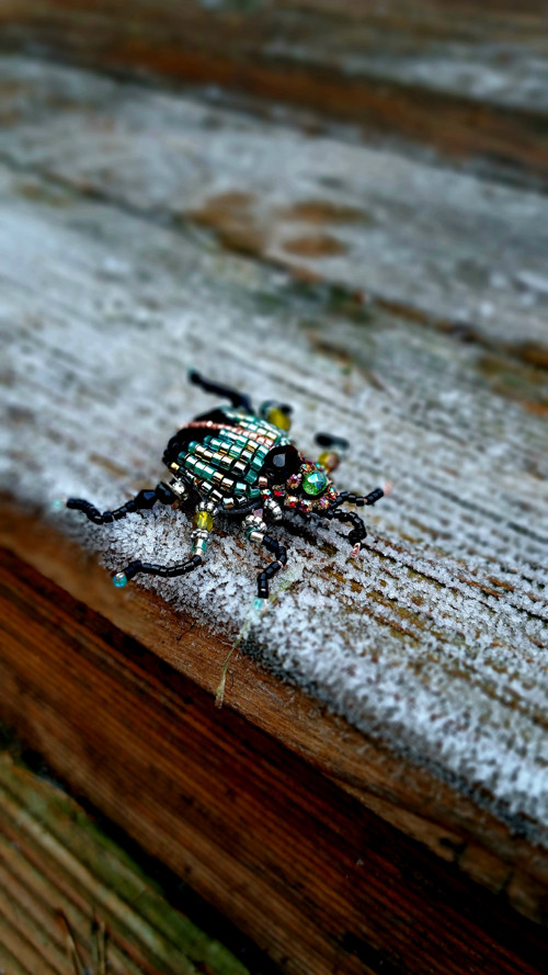 Brož Beetle — foto 1