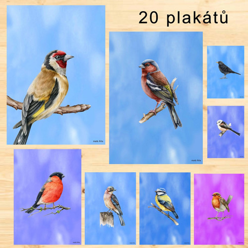 Ptáčci Plakáty v Pdf