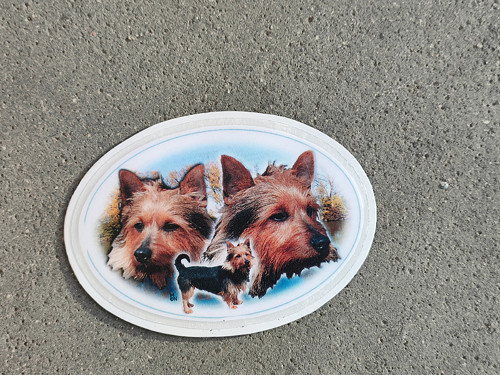 Magnet — foto 1