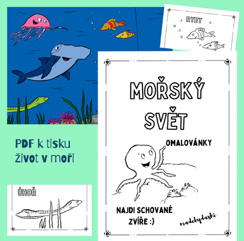 Omalovánky - mořský svět