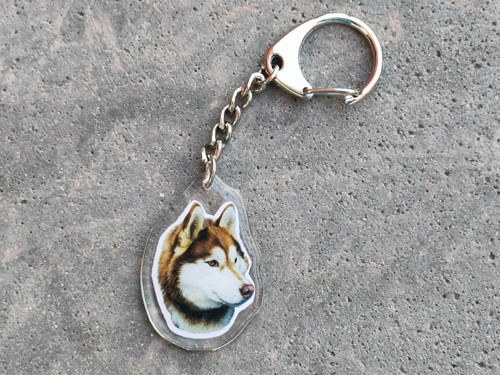 Klíčenka se sibiřským husky