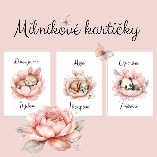 Milníkové kartičky - sladké SNY