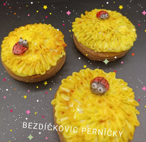 Pampeliška s beruškou
