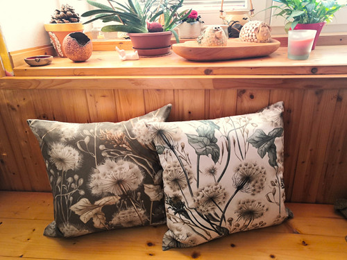 Pampeliškovníky