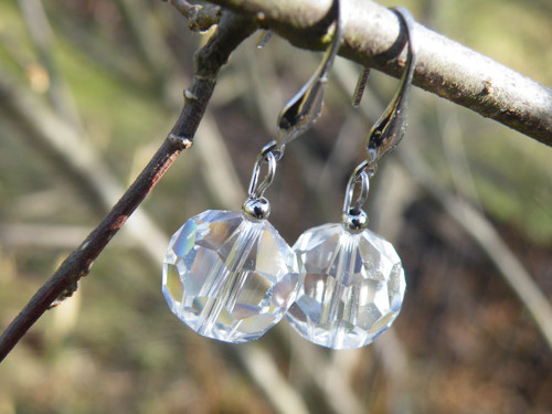 Stainless steel / Swarovski Crystals - krátké