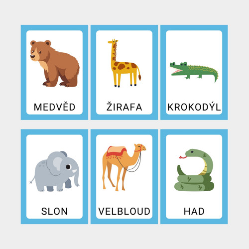 Výukové kartičky - Zvířátka v ZOO - PDF