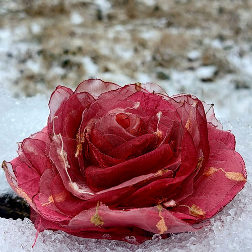 Bordeaux průměr 12 cm — foto 1