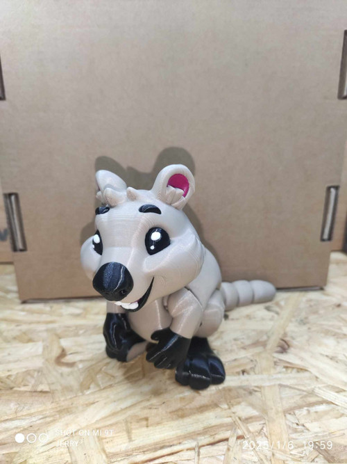 Klokan Quokka