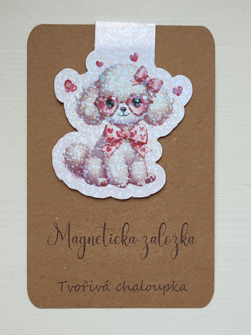 Magnetická záložka