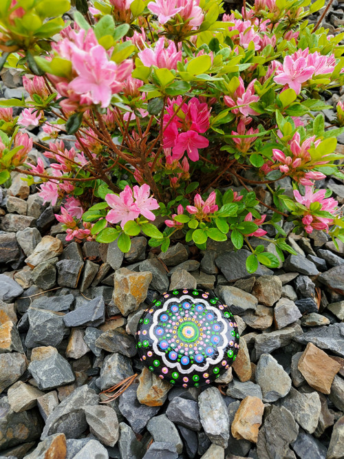 Malovaný kámen "Růžovozelená mandala"