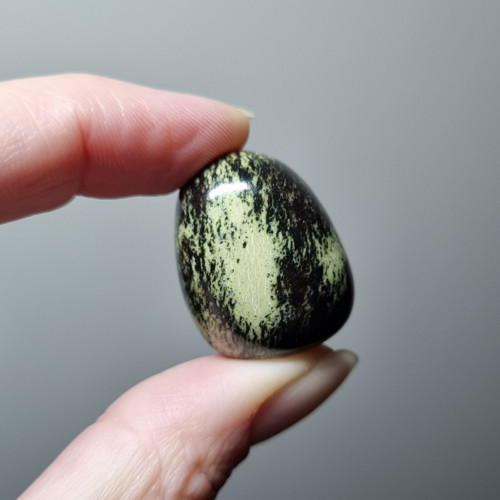 Chytha č.5 - 28x21mm
