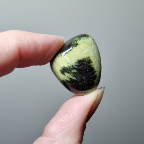 Chytha č.6 - 25x22mm