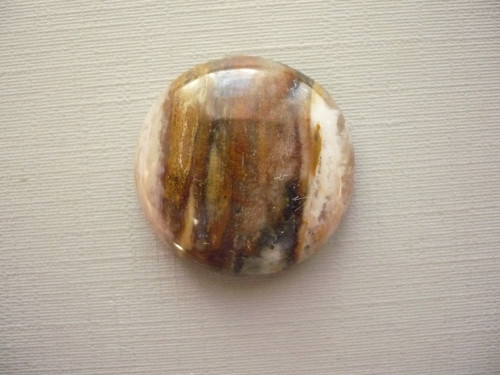 Kabošon - zkamenělé dřevo 25 mm, č.10f