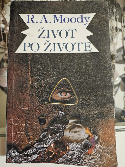 Život po životě