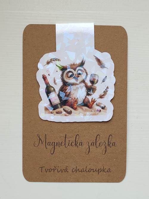 Magnetická záložka