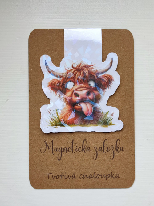 Magnetická záložka
