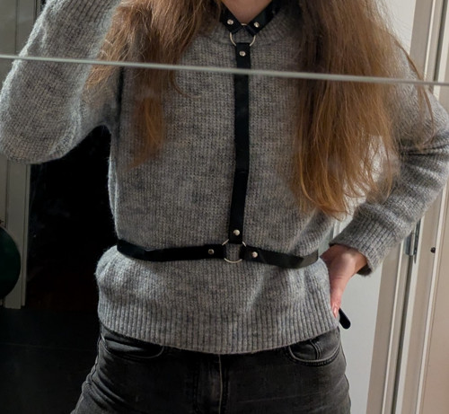Harness — foto 1