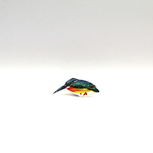 Pin: Ledňáček