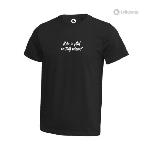 Kdo se ptal na tvůj názor?