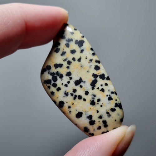 Jaspis dalmatin č.1 - 45x22mm