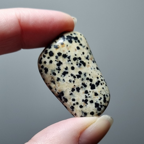 Jaspis dalmatin č.3 - 38x23mm