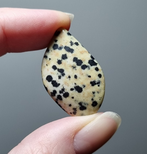 Jaspis dalmatin č.5 - 33x20mm