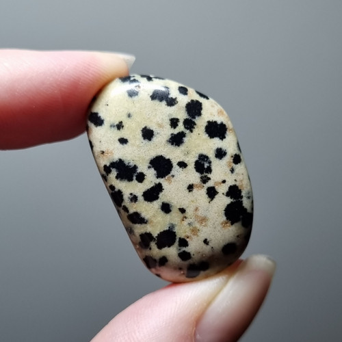 Jaspis dalmatin č.6 - 31x20mm