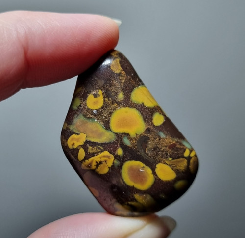 Jaspis Ajooba č.4 - 53x23mm
