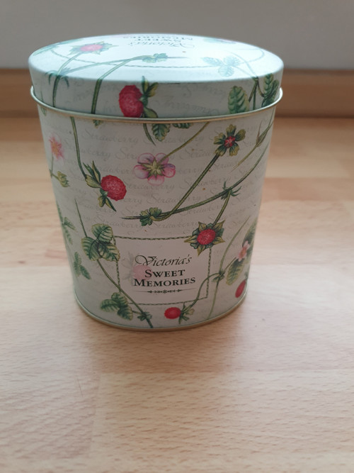 Lesní jahody — foto 1