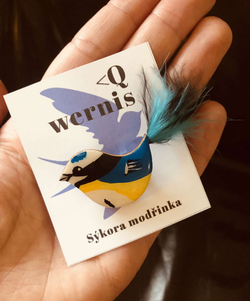 Sýkora modřinka — foto 1