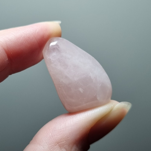 Růženín č.3 - 30x17mm