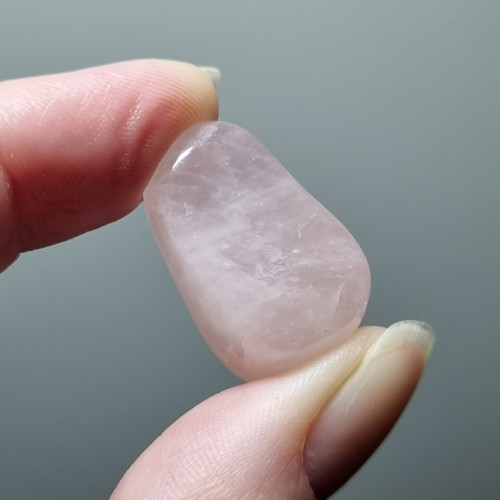 Růženín č.4 - 26x16mm