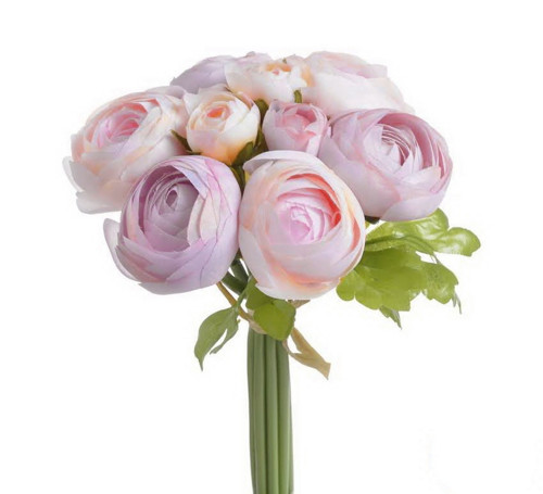 Rananculus svazek č.27