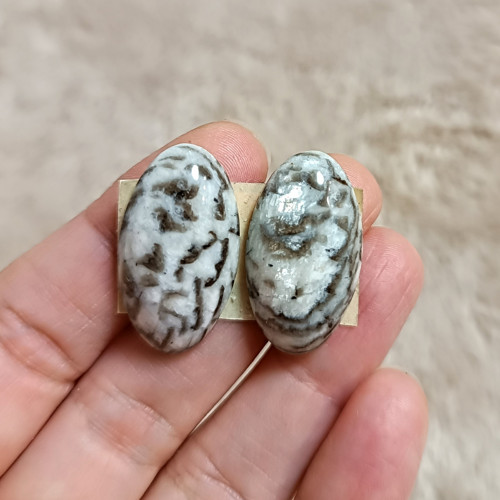 Pegmatit, ID 4595, 27x15 mm — foto 1