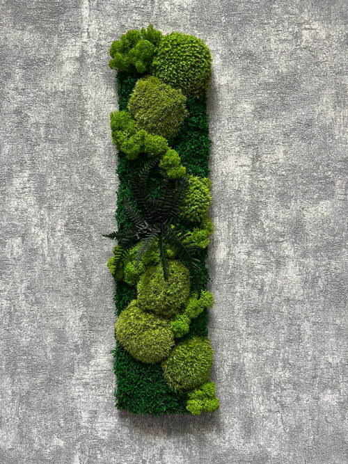 MECHOVÝ PANEL 50x12cm s kapradím — foto 1