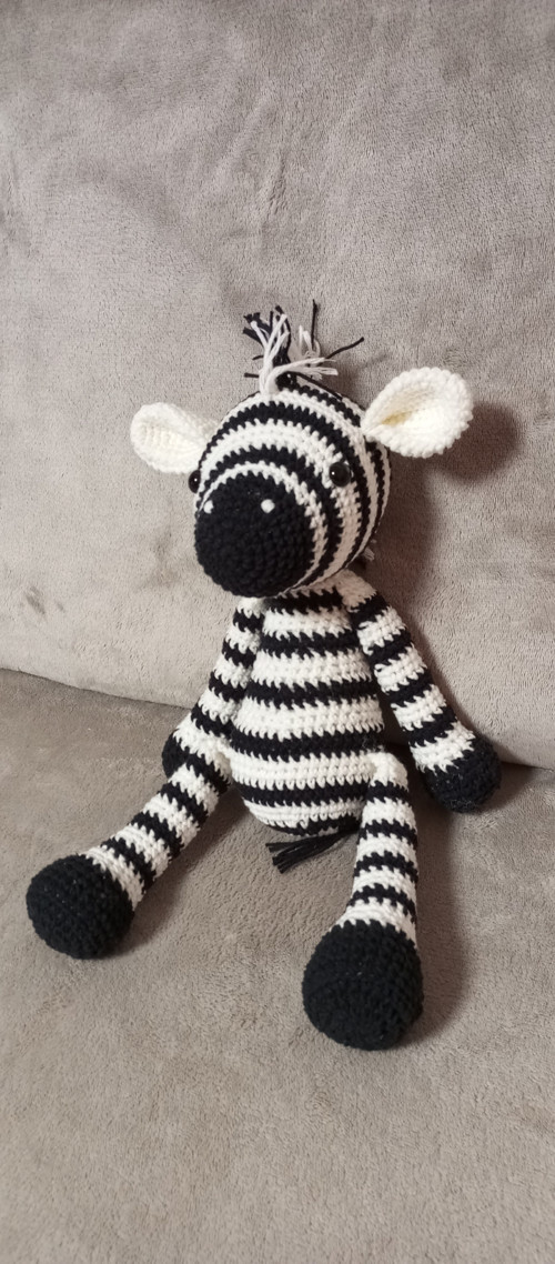 Zebra — foto 1