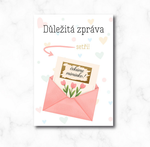 Důležitá zpráva - los čekáme miminko!