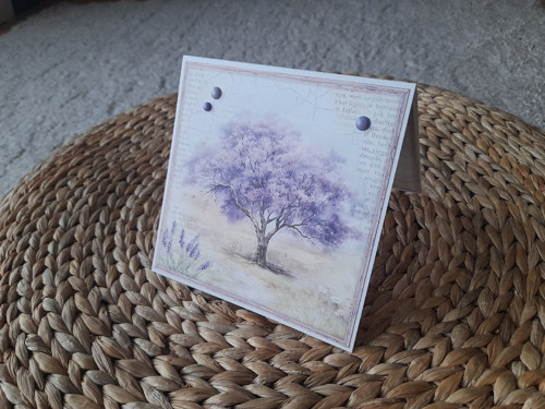 Vzpomínka na Provence XI.