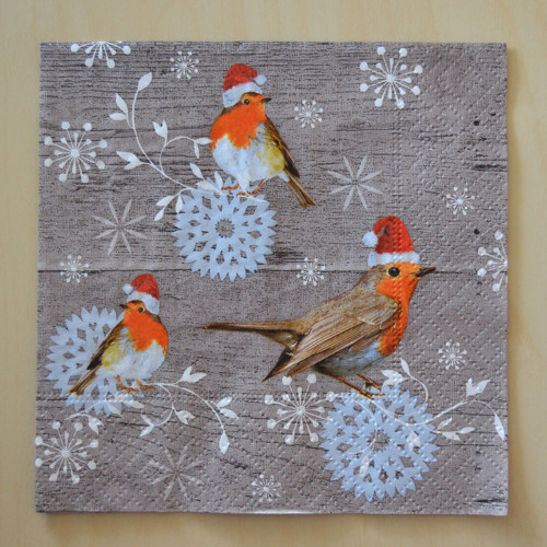 Ubrousek 25 x 25 cm - zimní ptáčci — foto 1