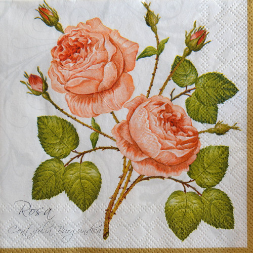 Ubrousek 25 x 25 cm - růžičky VI.