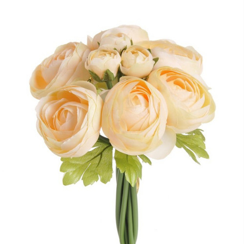 Rananculus svazek č.08