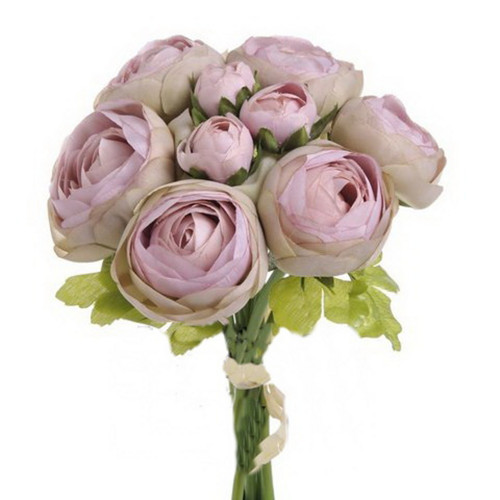 Rananculus svazek č.13
