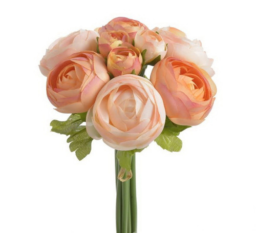 Rananculus svazek č.25