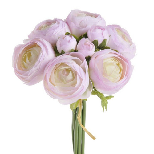 Rananculus svazek č.20