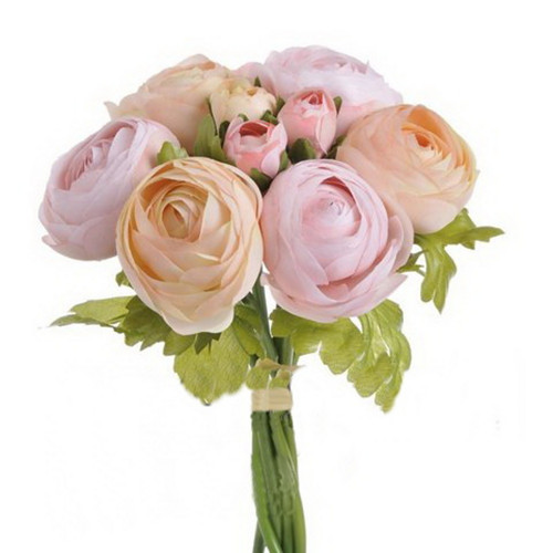 Rananculus svazek č.4