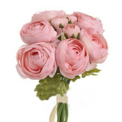 Rananculus svazek č.7