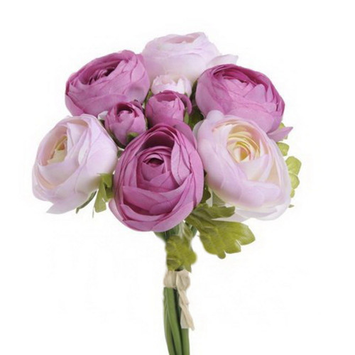 Rananculus svazek č.17